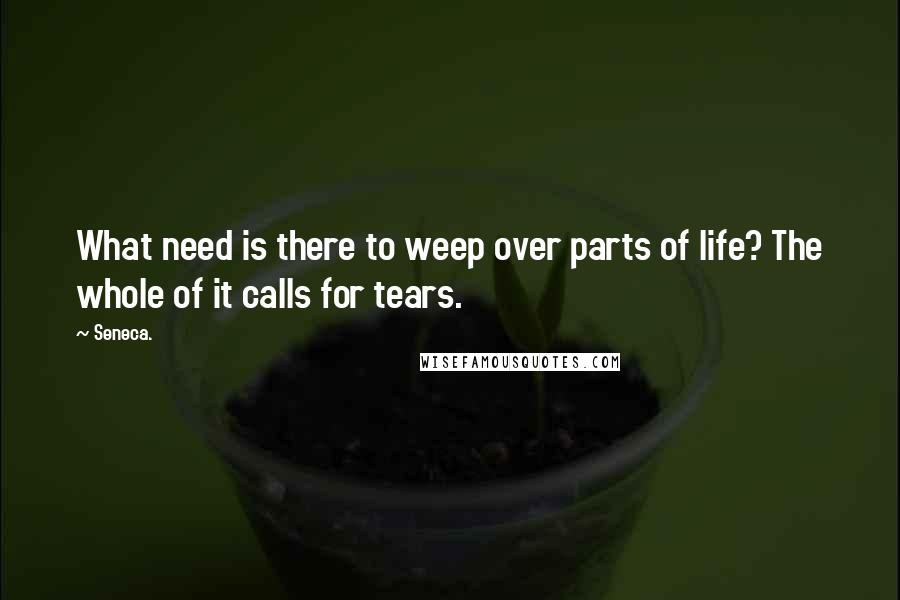 Seneca. Quotes: What need is there to weep over parts of life? The whole of it calls for tears.