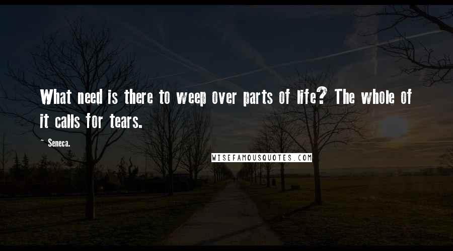 Seneca. Quotes: What need is there to weep over parts of life? The whole of it calls for tears.