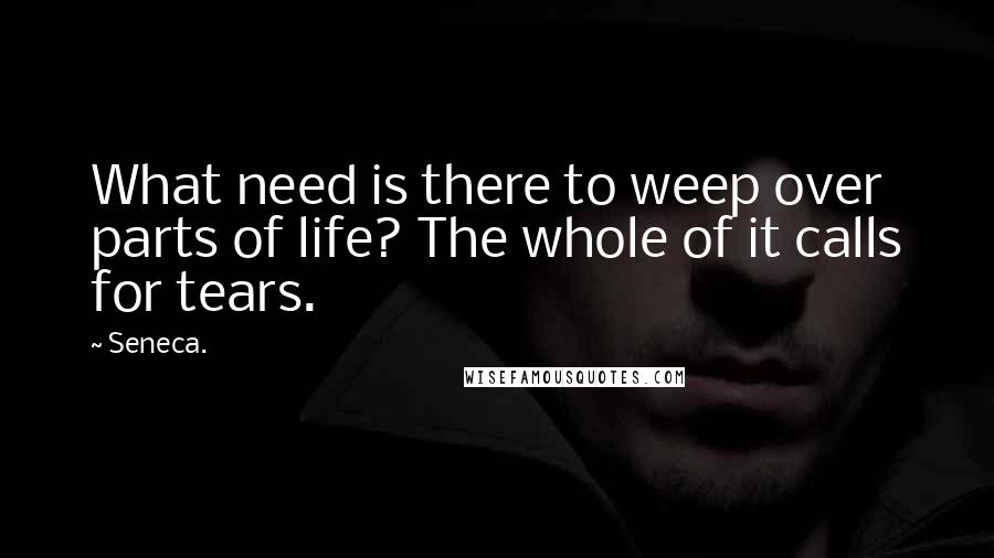 Seneca. Quotes: What need is there to weep over parts of life? The whole of it calls for tears.