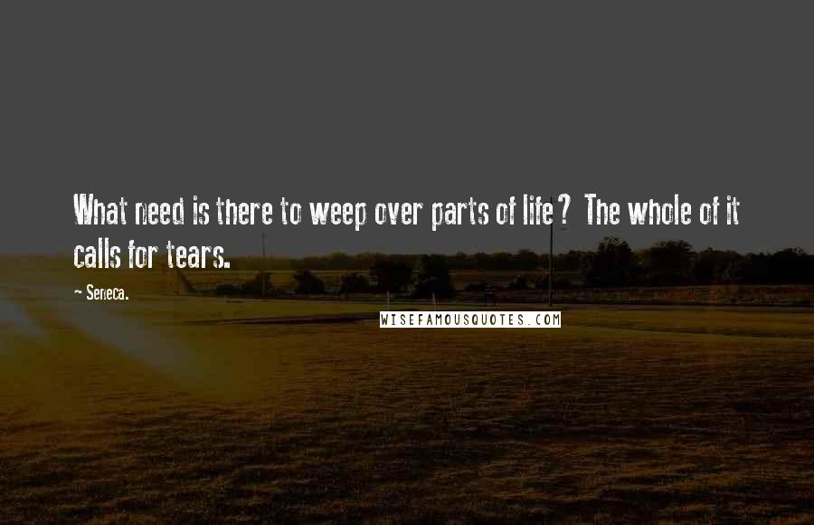 Seneca. Quotes: What need is there to weep over parts of life? The whole of it calls for tears.