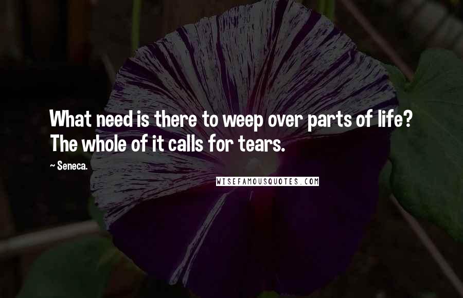 Seneca. Quotes: What need is there to weep over parts of life? The whole of it calls for tears.