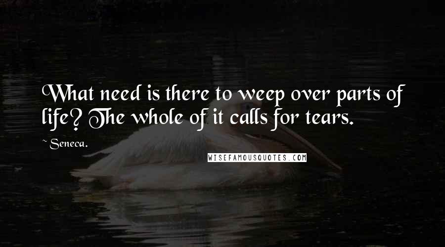 Seneca. Quotes: What need is there to weep over parts of life? The whole of it calls for tears.