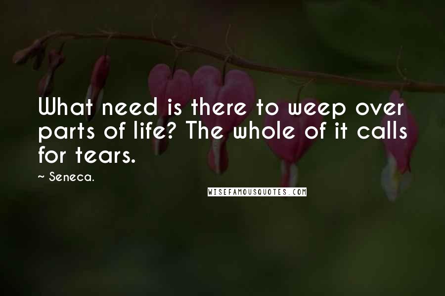Seneca. Quotes: What need is there to weep over parts of life? The whole of it calls for tears.