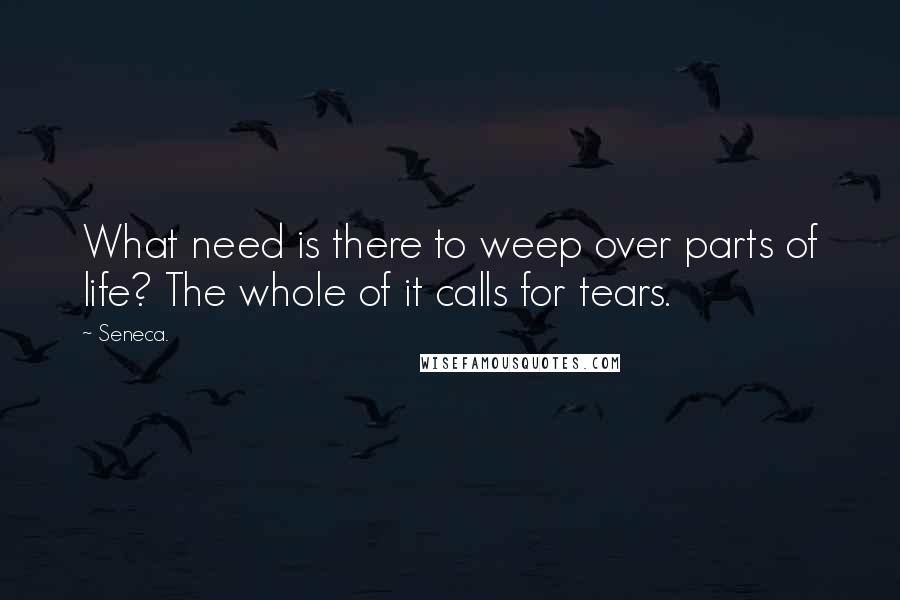 Seneca. Quotes: What need is there to weep over parts of life? The whole of it calls for tears.