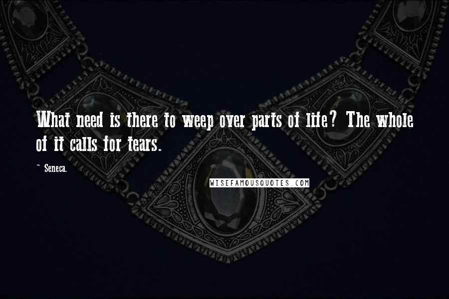 Seneca. Quotes: What need is there to weep over parts of life? The whole of it calls for tears.