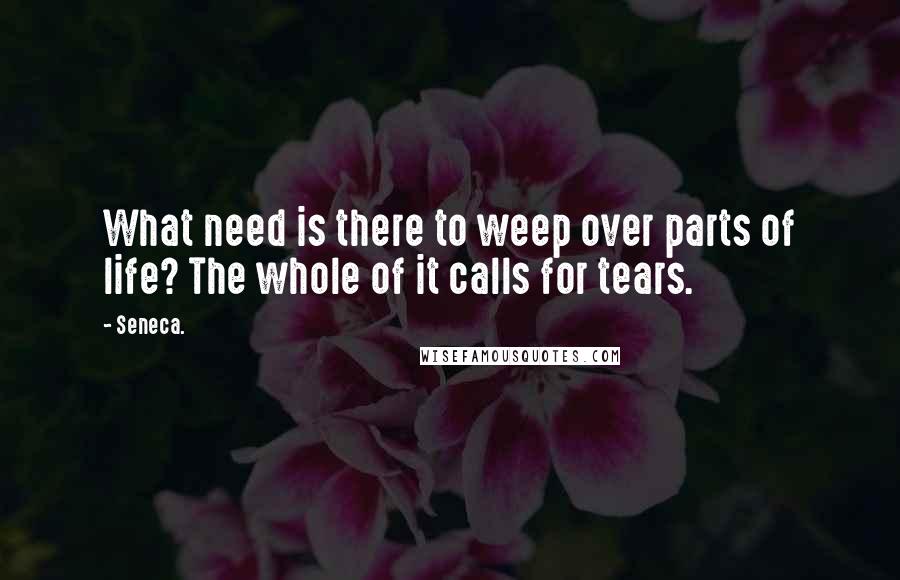 Seneca. Quotes: What need is there to weep over parts of life? The whole of it calls for tears.