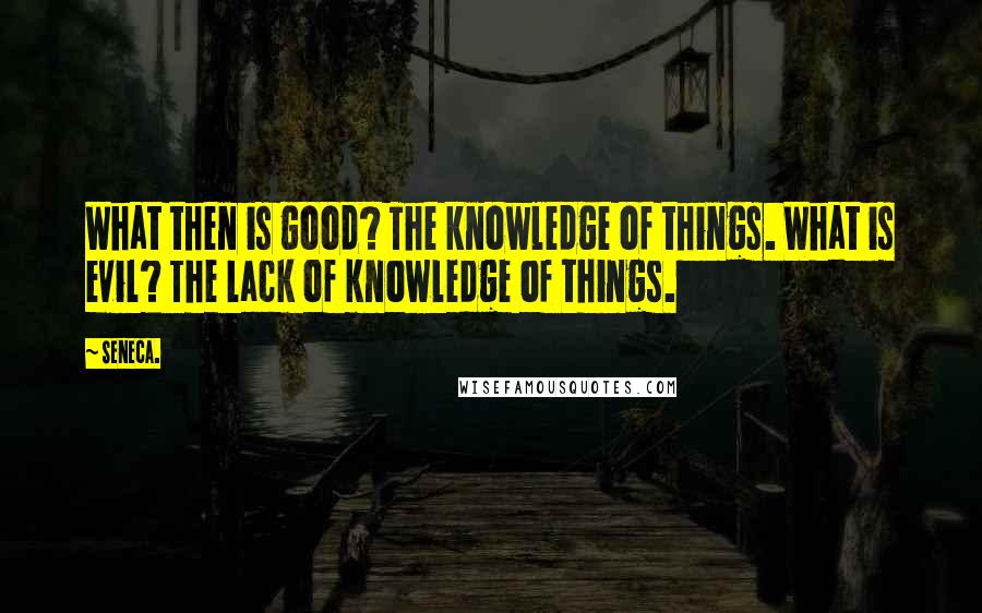 Seneca. Quotes: What then is good? The knowledge of things. What is evil? The lack of knowledge of things.