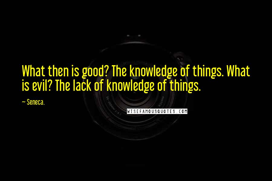 Seneca. Quotes: What then is good? The knowledge of things. What is evil? The lack of knowledge of things.