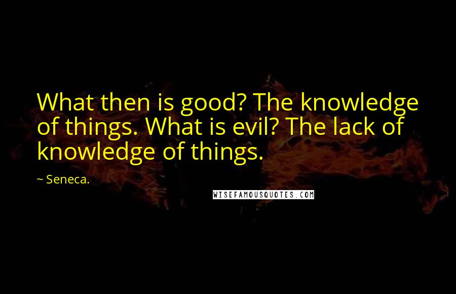 Seneca. Quotes: What then is good? The knowledge of things. What is evil? The lack of knowledge of things.