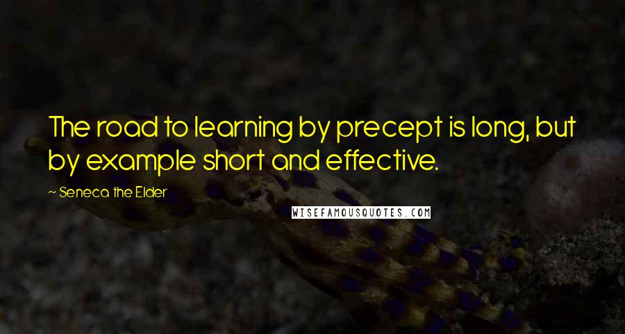 Seneca The Elder Quotes: The road to learning by precept is long, but by example short and effective.