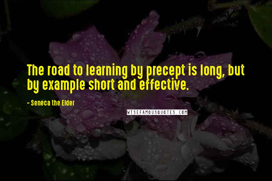 Seneca The Elder Quotes: The road to learning by precept is long, but by example short and effective.