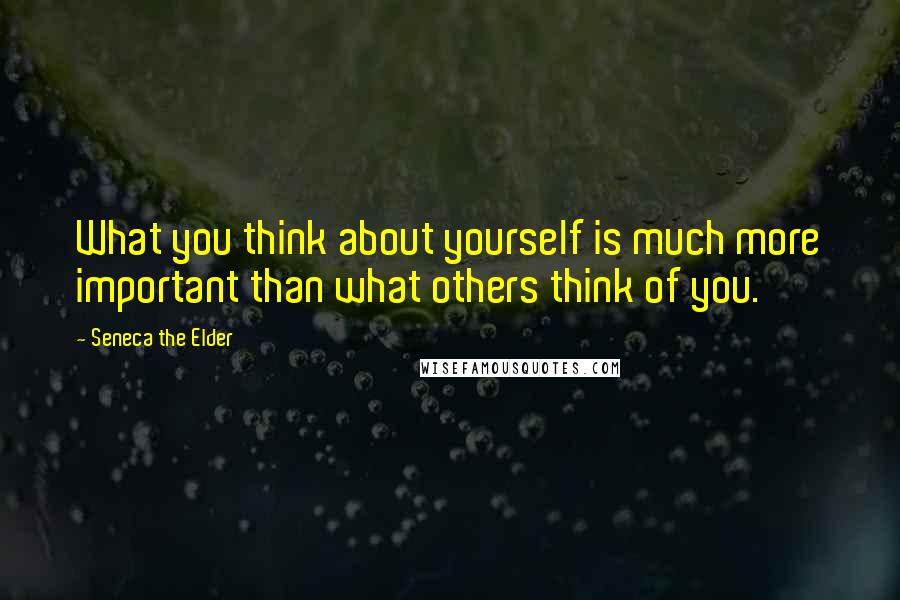 Seneca The Elder Quotes: What you think about yourself is much more important than what others think of you.