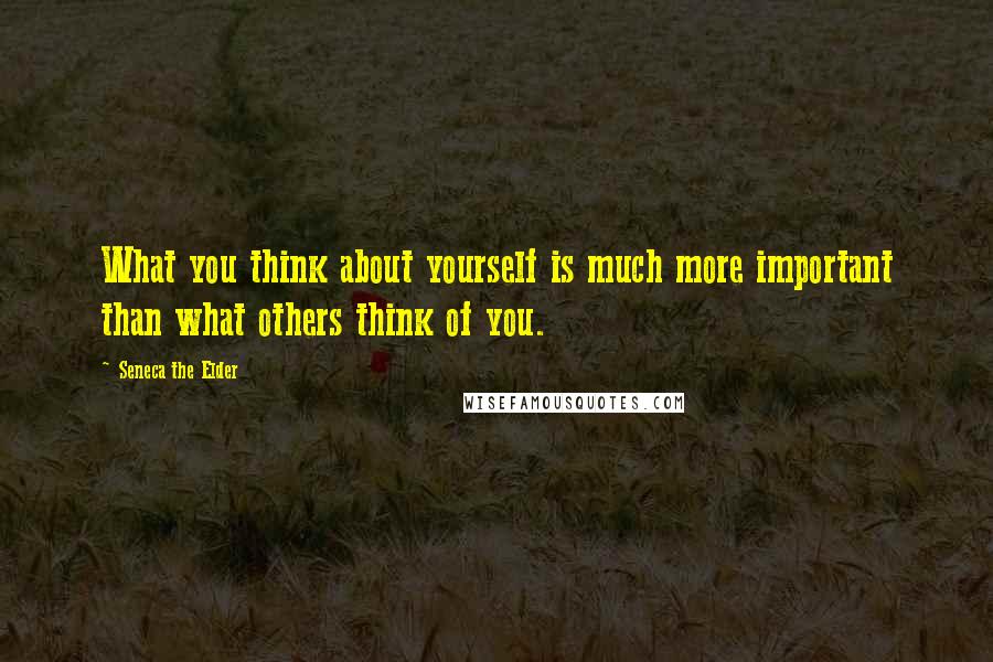 Seneca The Elder Quotes: What you think about yourself is much more important than what others think of you.