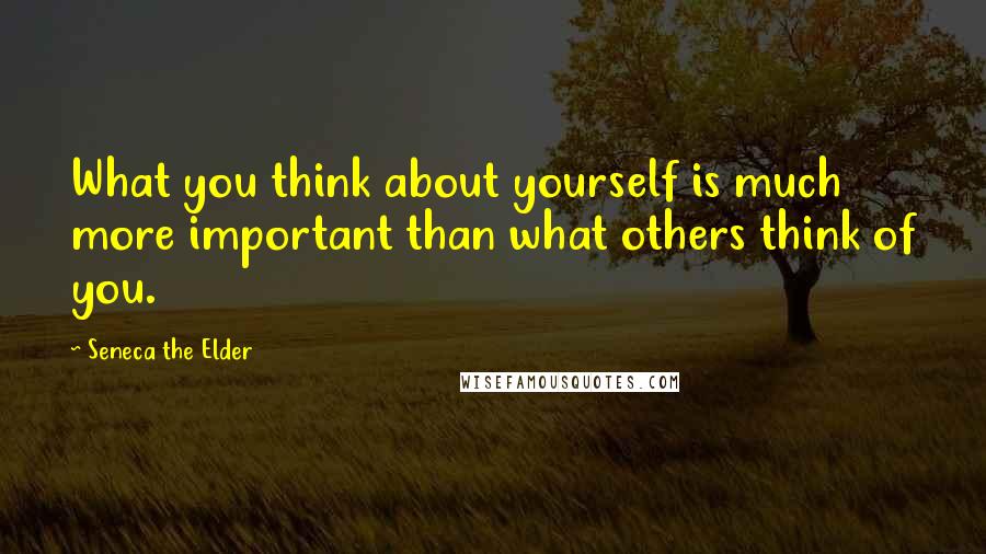 Seneca The Elder Quotes: What you think about yourself is much more important than what others think of you.