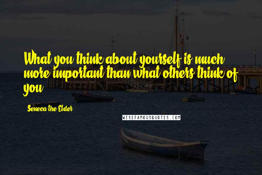 Seneca The Elder Quotes: What you think about yourself is much more important than what others think of you.