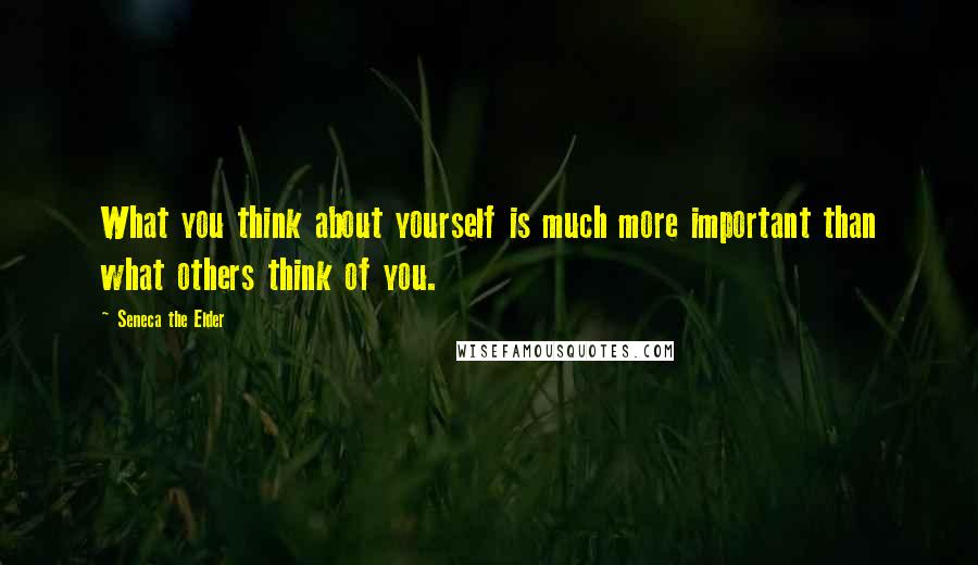 Seneca The Elder Quotes: What you think about yourself is much more important than what others think of you.