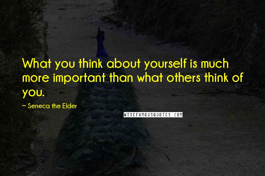 Seneca The Elder Quotes: What you think about yourself is much more important than what others think of you.