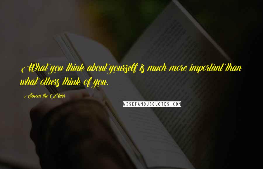 Seneca The Elder Quotes: What you think about yourself is much more important than what others think of you.