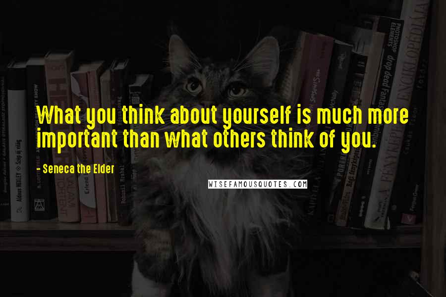 Seneca The Elder Quotes: What you think about yourself is much more important than what others think of you.