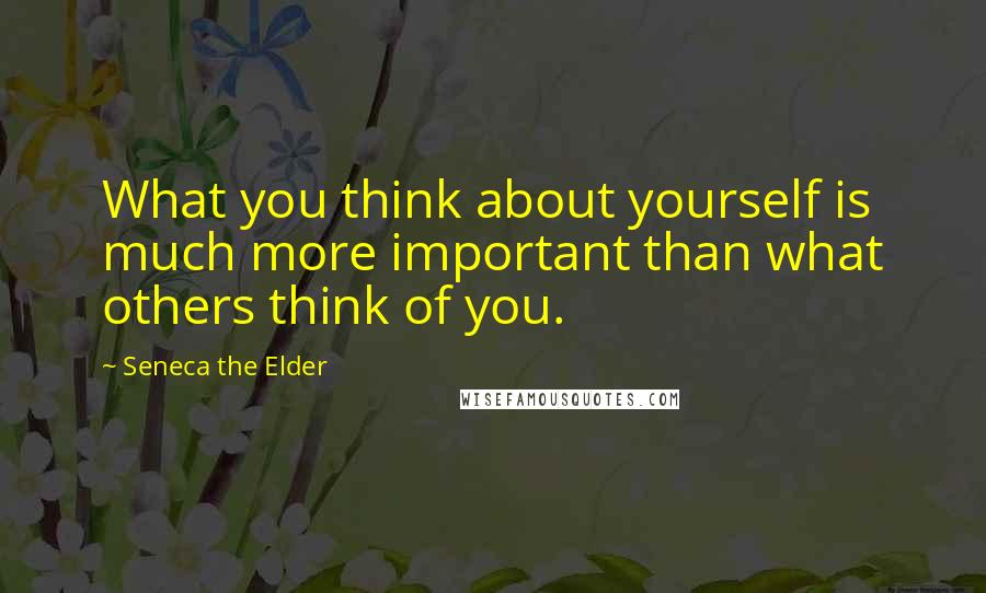 Seneca The Elder Quotes: What you think about yourself is much more important than what others think of you.