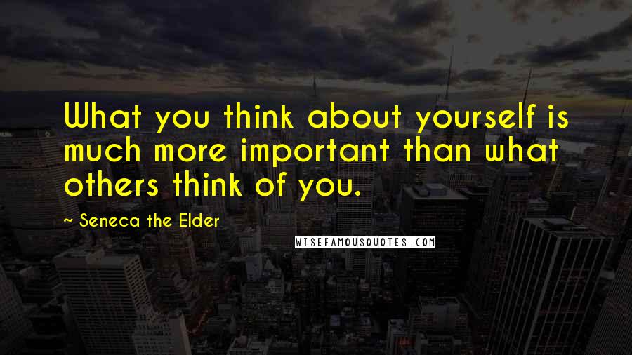 Seneca The Elder Quotes: What you think about yourself is much more important than what others think of you.