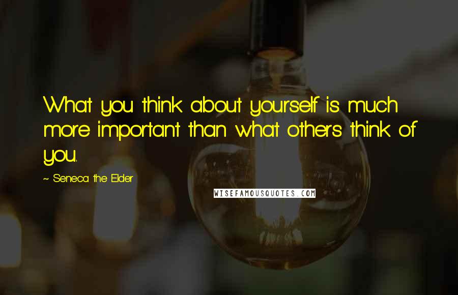 Seneca The Elder Quotes: What you think about yourself is much more important than what others think of you.