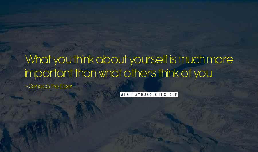 Seneca The Elder Quotes: What you think about yourself is much more important than what others think of you.