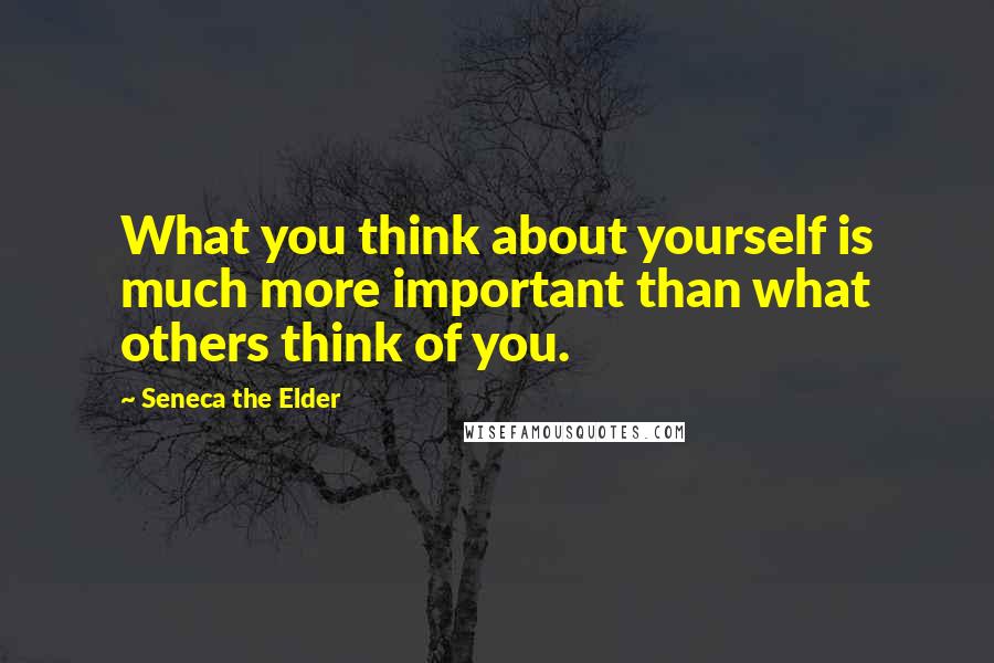 Seneca The Elder Quotes: What you think about yourself is much more important than what others think of you.