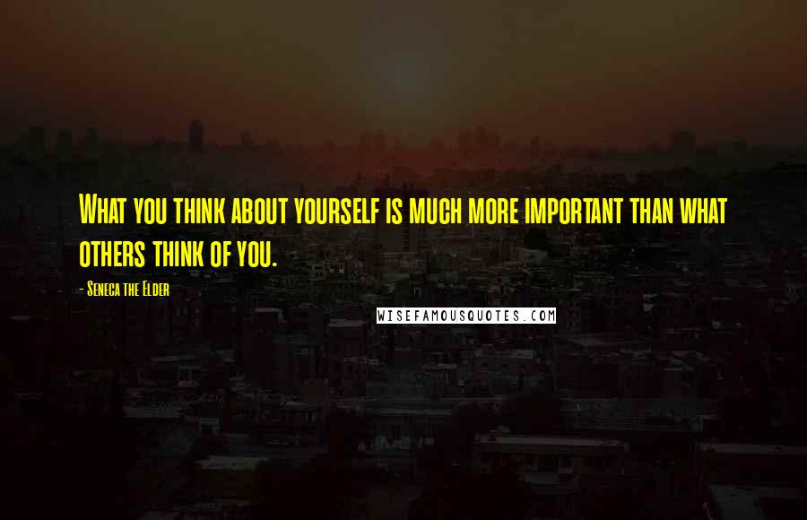 Seneca The Elder Quotes: What you think about yourself is much more important than what others think of you.