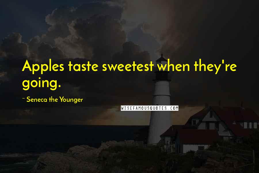 Seneca The Younger Quotes: Apples taste sweetest when they're going.