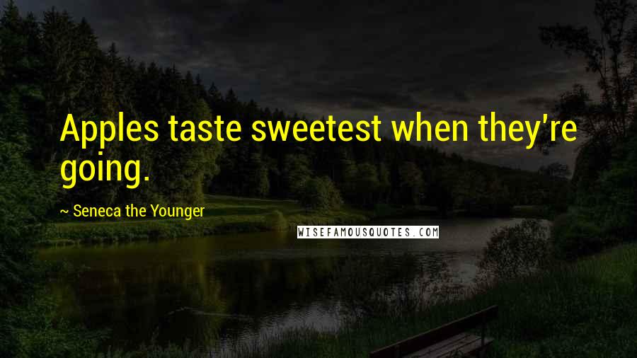 Seneca The Younger Quotes: Apples taste sweetest when they're going.