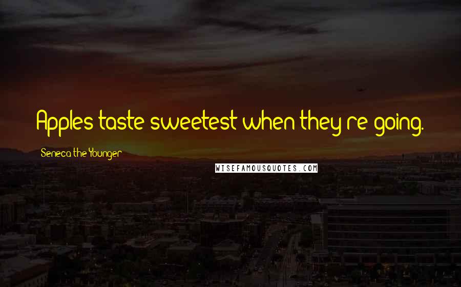 Seneca The Younger Quotes: Apples taste sweetest when they're going.