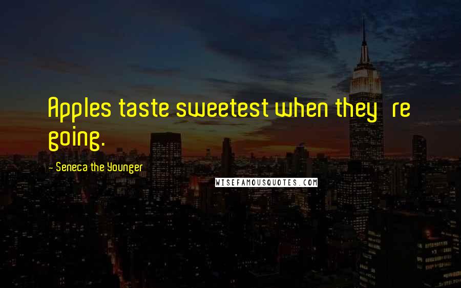 Seneca The Younger Quotes: Apples taste sweetest when they're going.