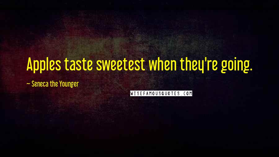 Seneca The Younger Quotes: Apples taste sweetest when they're going.