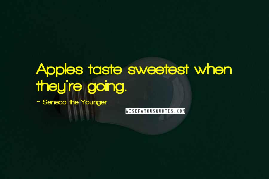 Seneca The Younger Quotes: Apples taste sweetest when they're going.
