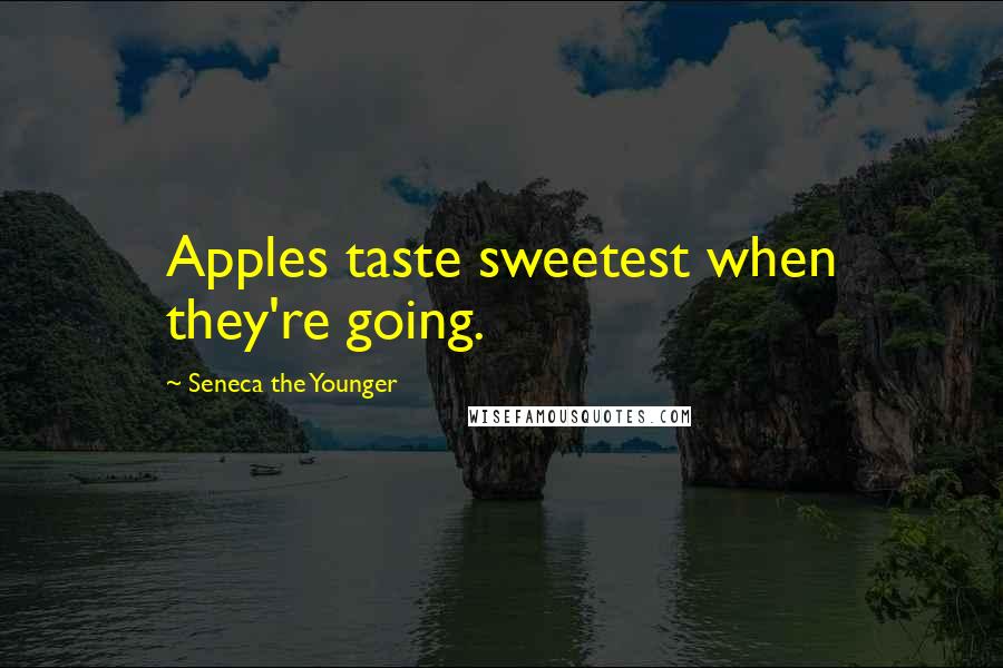 Seneca The Younger Quotes: Apples taste sweetest when they're going.