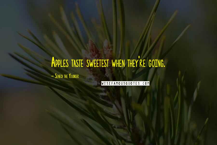 Seneca The Younger Quotes: Apples taste sweetest when they're going.