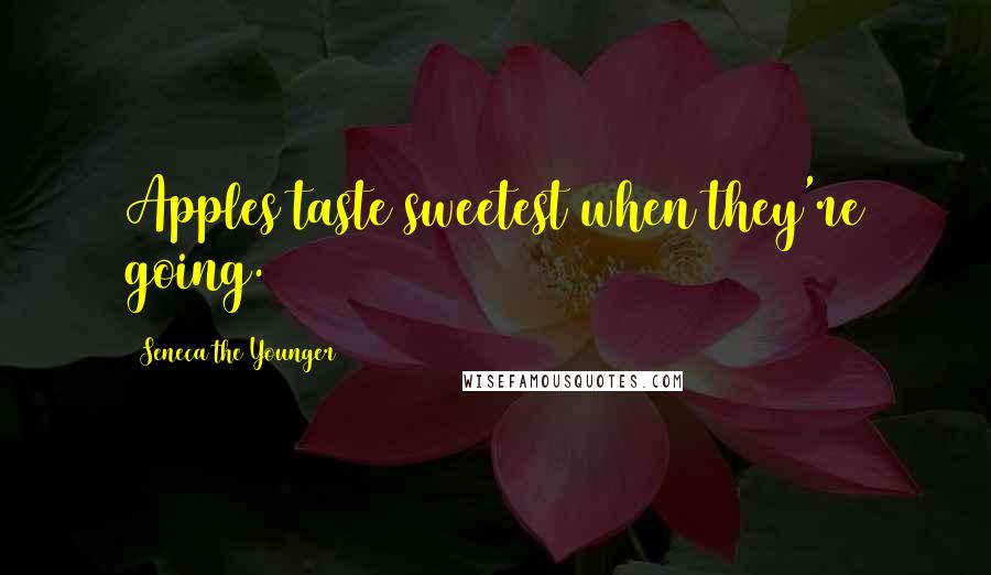 Seneca The Younger Quotes: Apples taste sweetest when they're going.