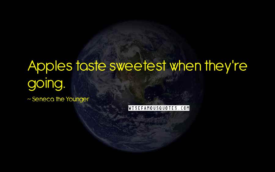 Seneca The Younger Quotes: Apples taste sweetest when they're going.