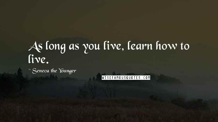 Seneca The Younger Quotes: As long as you live, learn how to live.