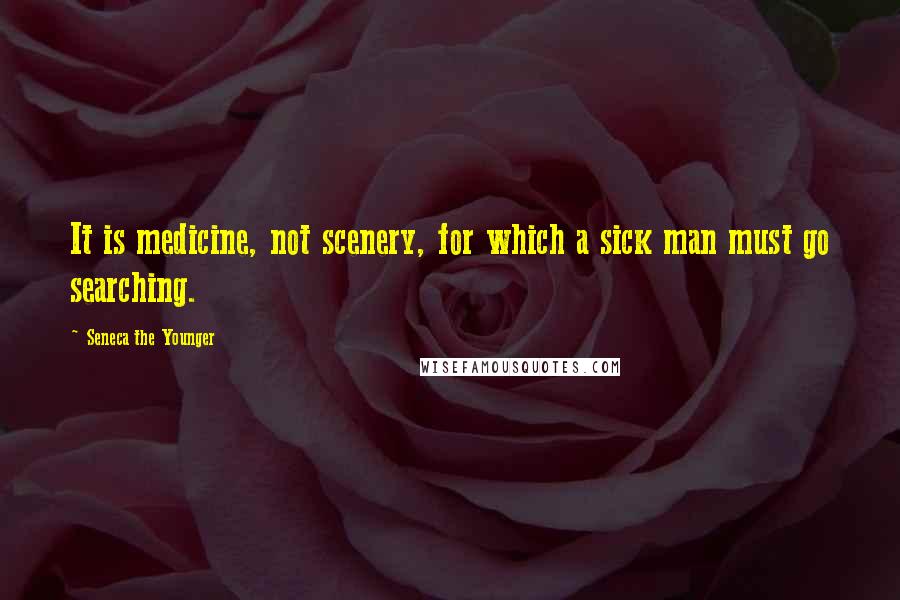 Seneca The Younger Quotes: It is medicine, not scenery, for which a sick man must go searching.
