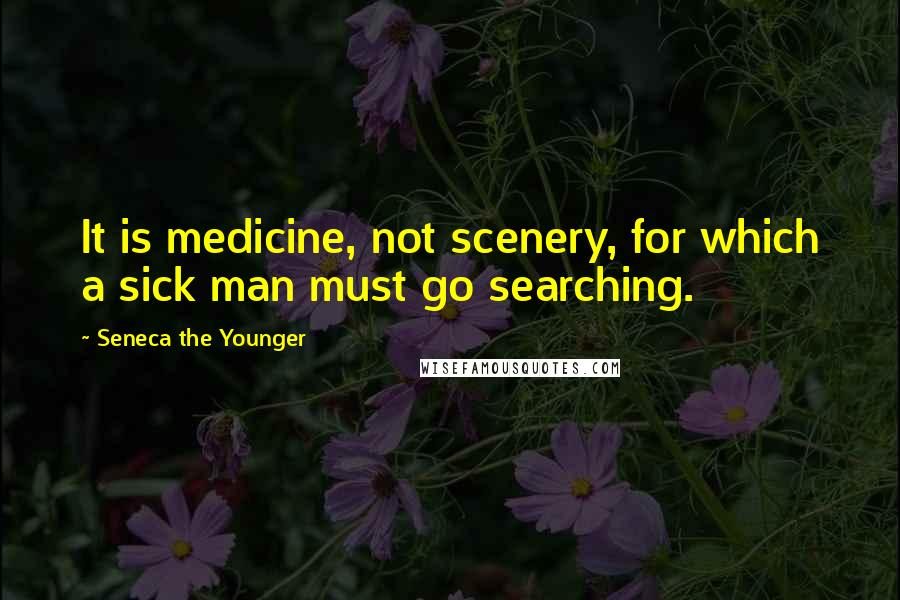 Seneca The Younger Quotes: It is medicine, not scenery, for which a sick man must go searching.