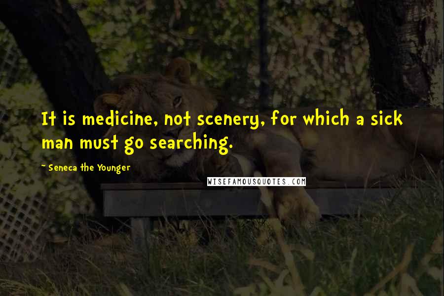 Seneca The Younger Quotes: It is medicine, not scenery, for which a sick man must go searching.