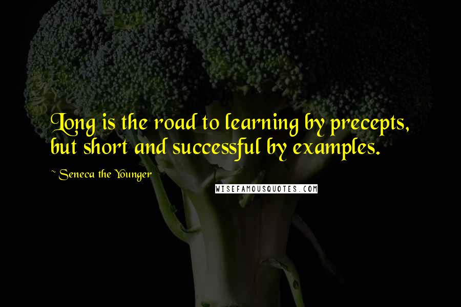 Seneca The Younger Quotes: Long is the road to learning by precepts, but short and successful by examples.