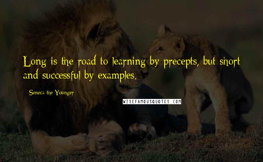 Seneca The Younger Quotes: Long is the road to learning by precepts, but short and successful by examples.