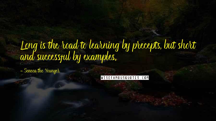 Seneca The Younger Quotes: Long is the road to learning by precepts, but short and successful by examples.