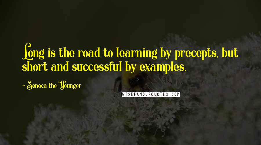 Seneca The Younger Quotes: Long is the road to learning by precepts, but short and successful by examples.