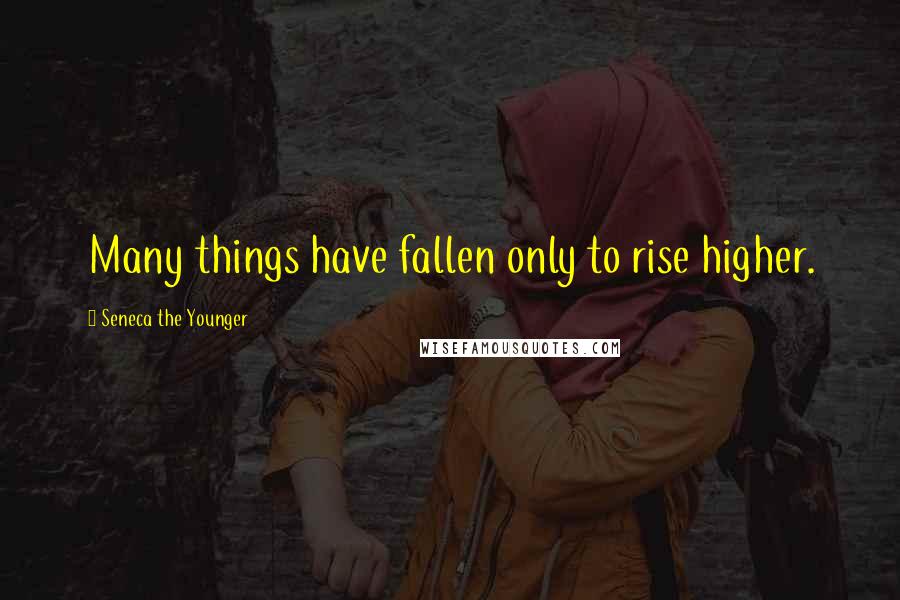 Seneca The Younger Quotes: Many things have fallen only to rise higher.