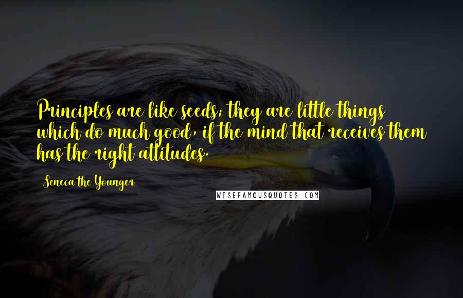 Seneca The Younger Quotes: Principles are like seeds; they are little things which do much good, if the mind that receives them has the right attitudes.