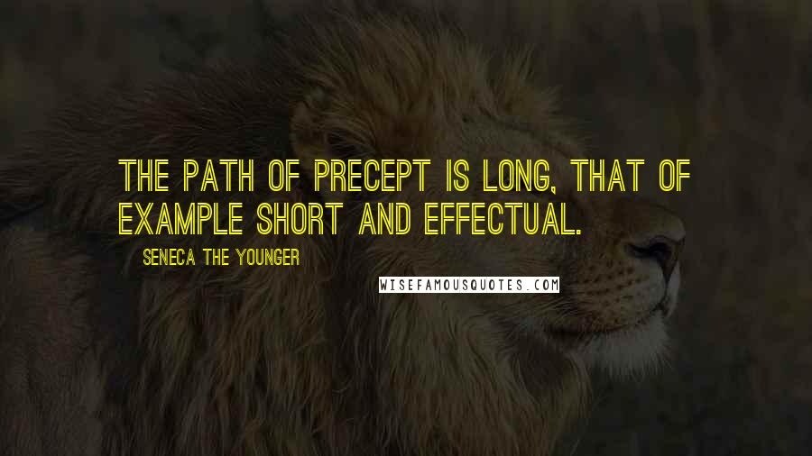 Seneca The Younger Quotes: The path of precept is long, that of example short and effectual.